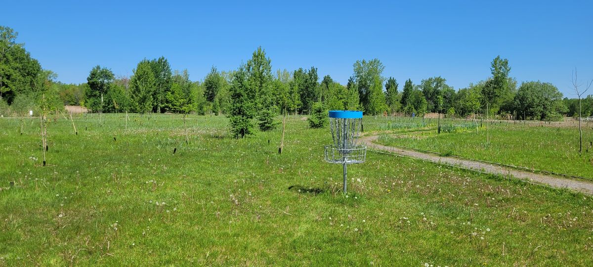 Green 15