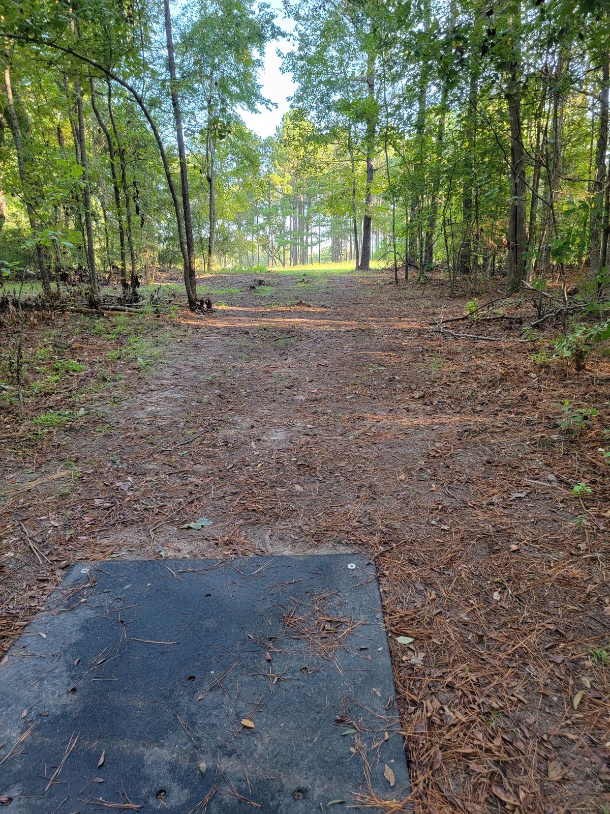 hole 4...out of the woods to open field on the left