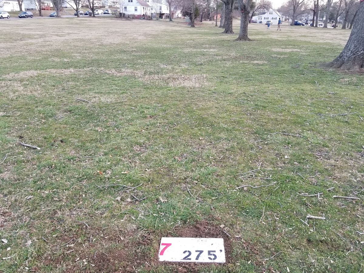 Tee 7