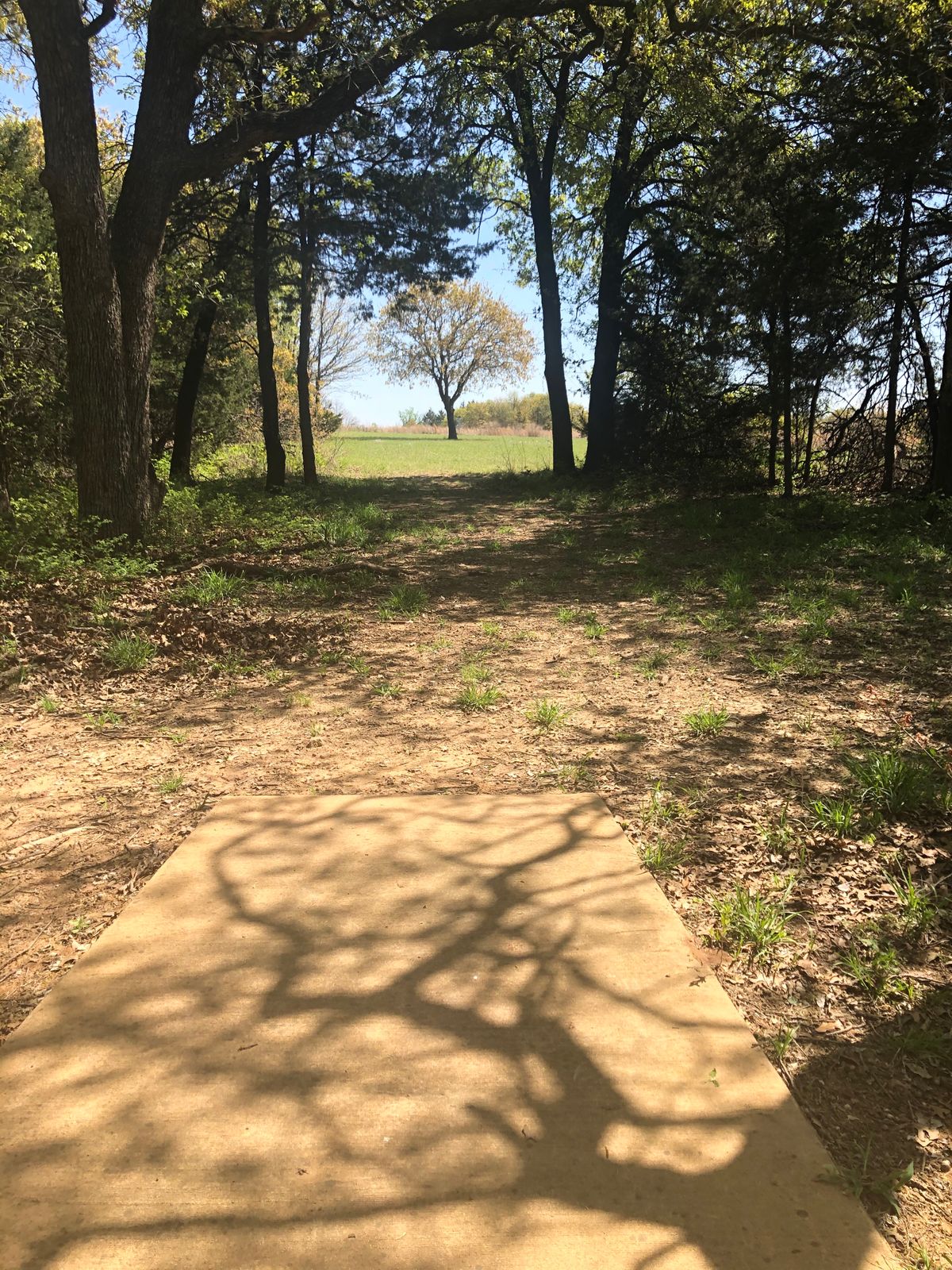 Hole 12 North Short