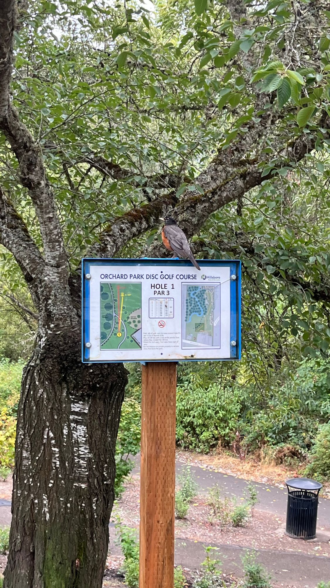 what a treat to start on hole 1