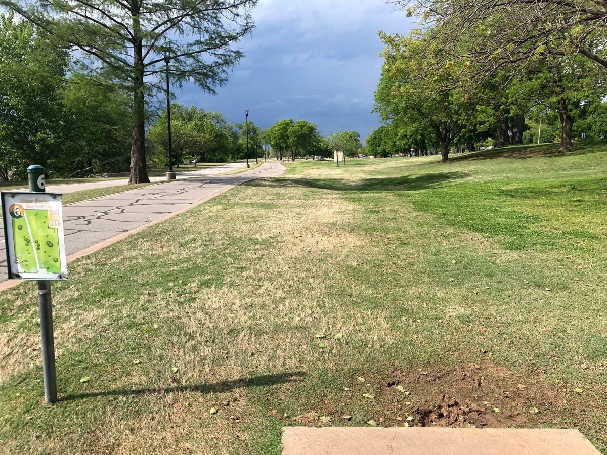 Tee 6