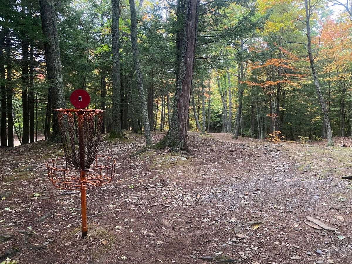 Basket 6 looking back down the fairway, 293ft