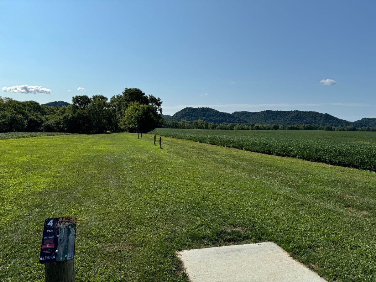 Hole 4 Tee