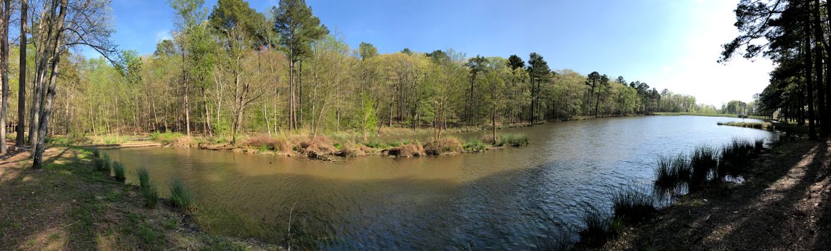 Hole 14 panoramic shot. Tee to the left, basket on the peninsula to the right.
