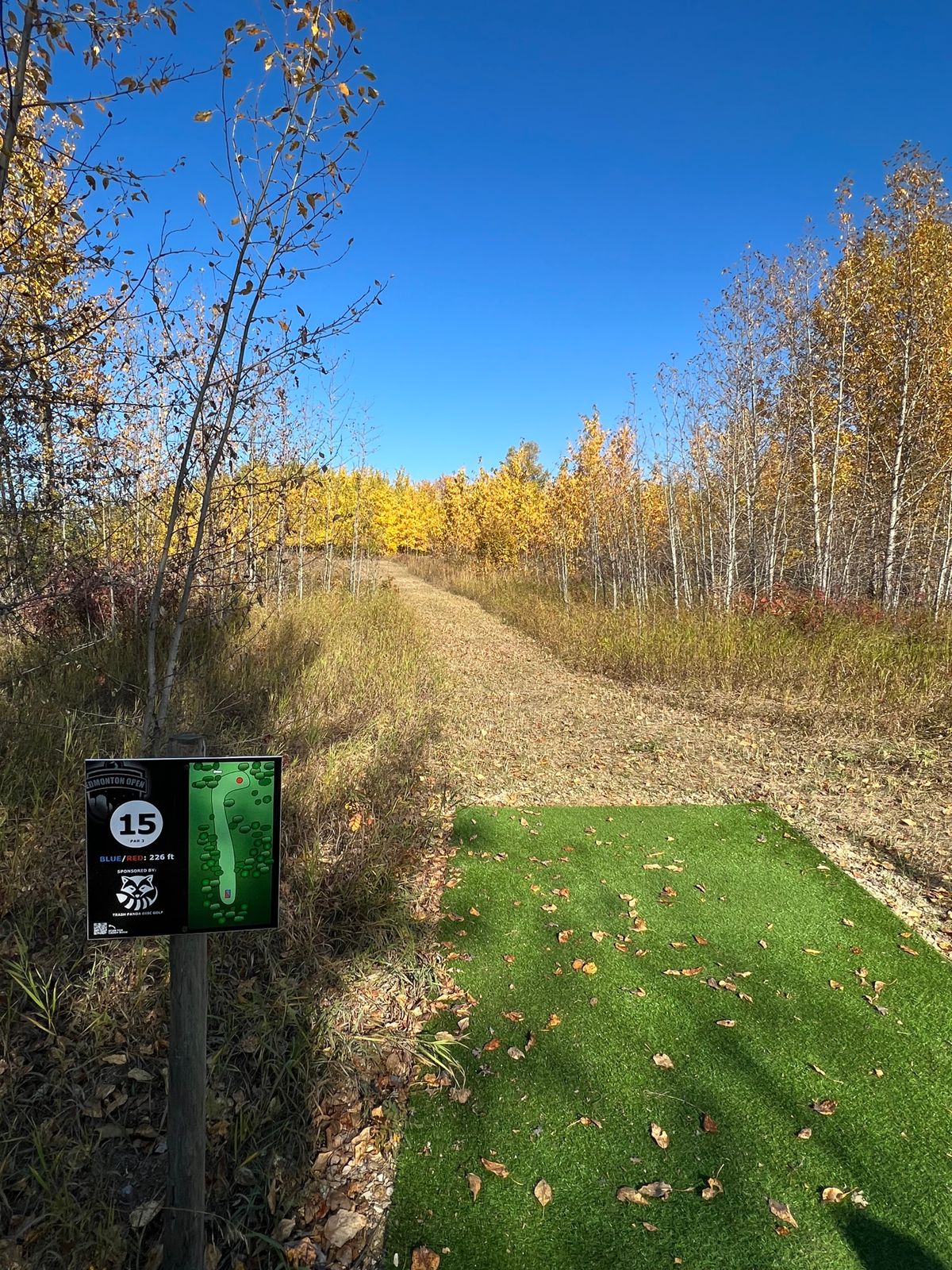 Hole 15 Tee Pad