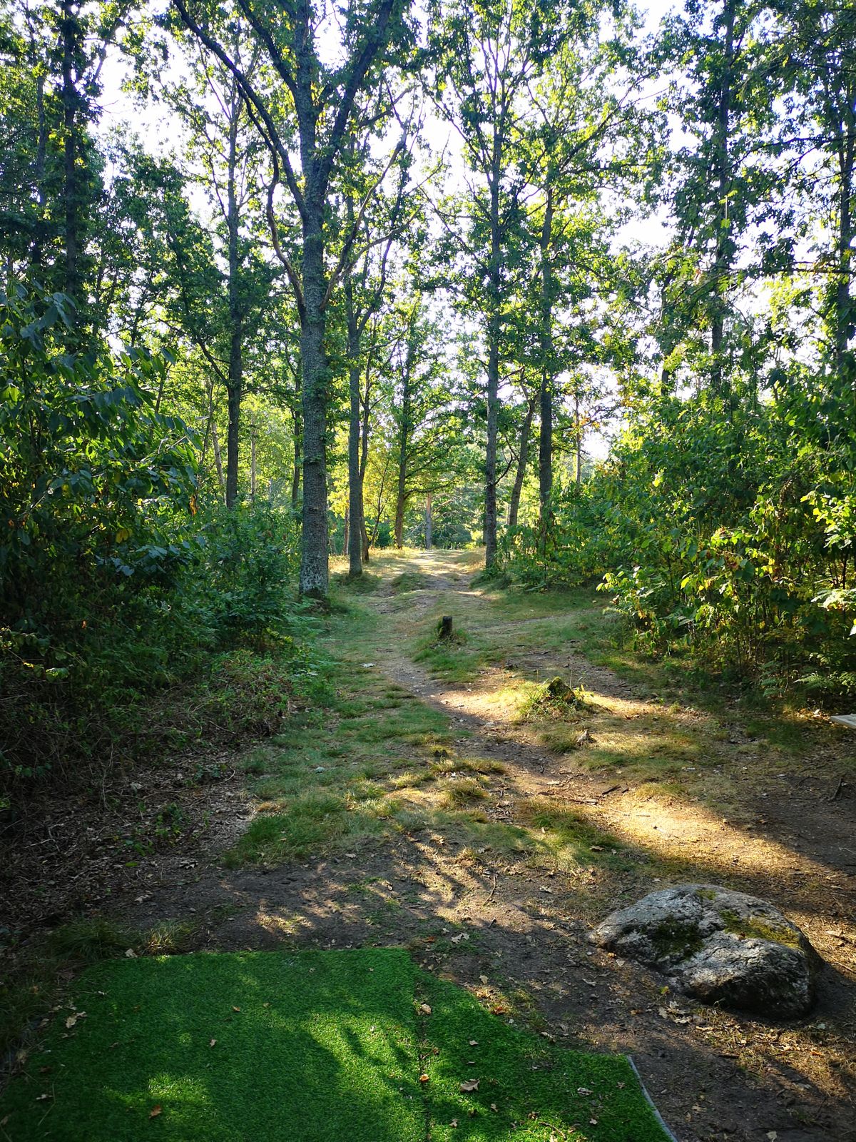 Tee 12
