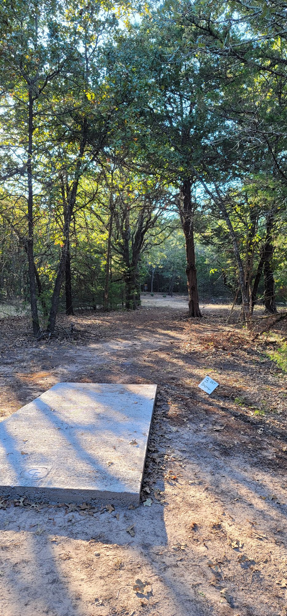 Hole 3 short tee