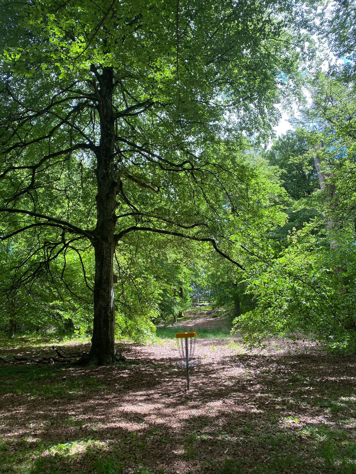 Basket hole 3