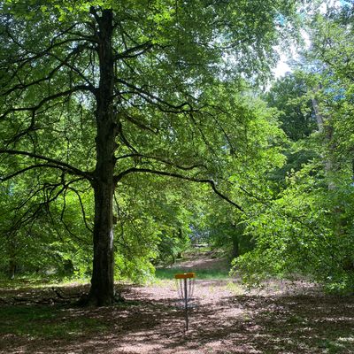 Basket hole 3