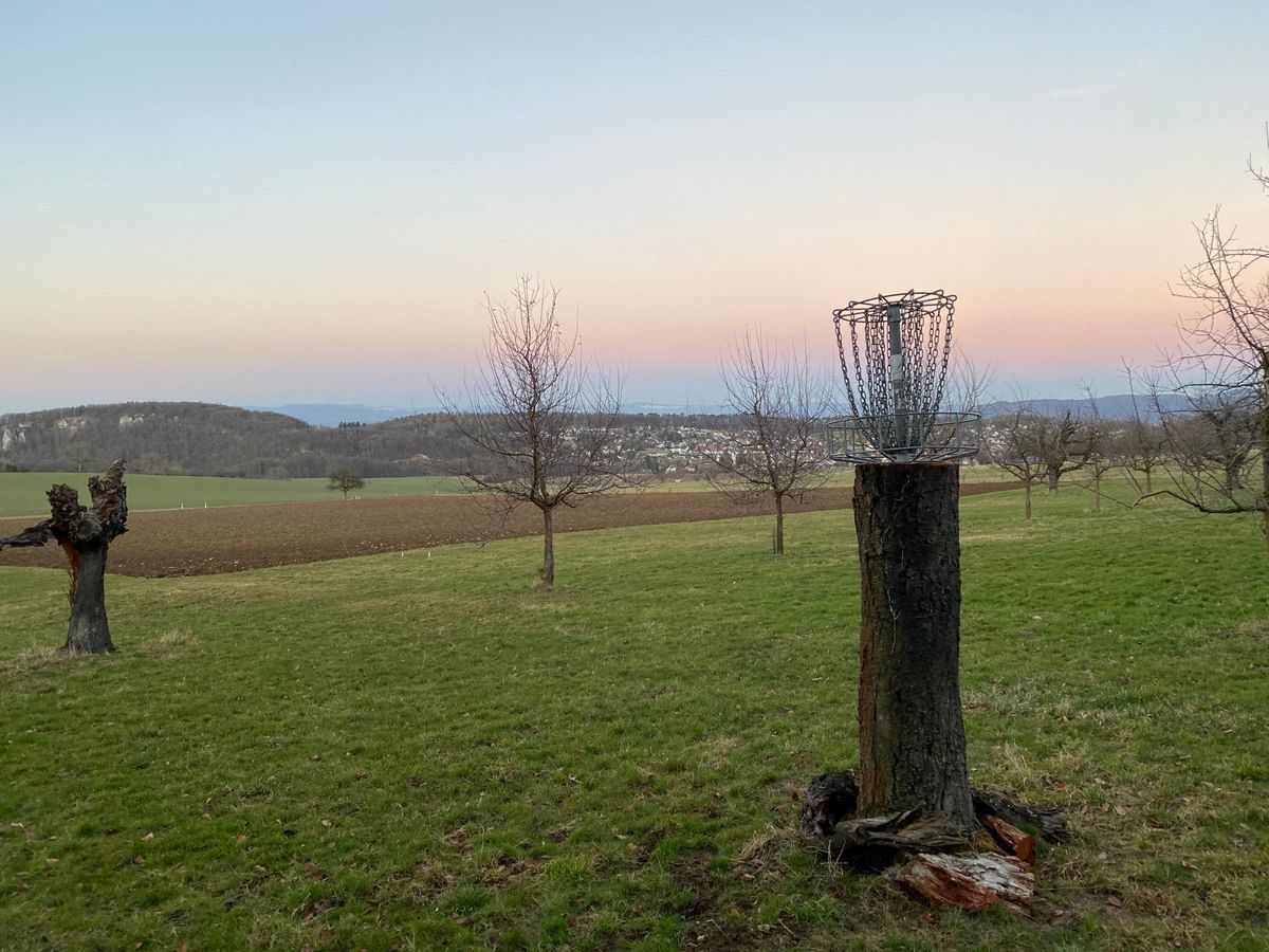 Sunset at „Hochstamm“