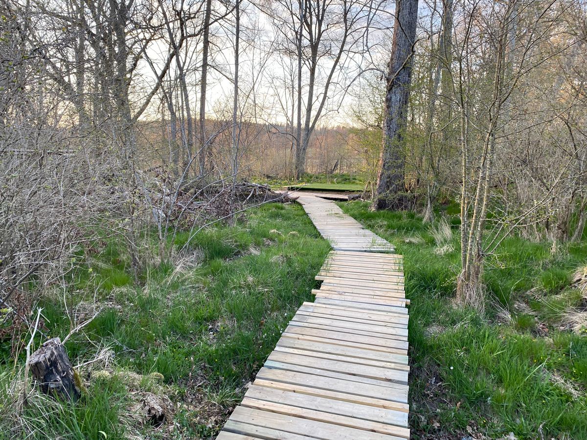 One of many nice footbridges on the course