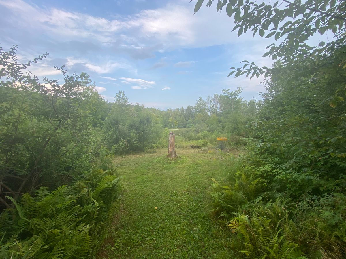 Hole 8 green