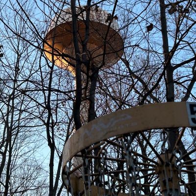 Water tower behind basket 5