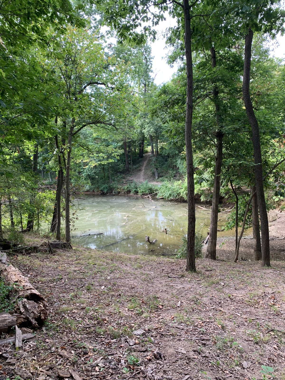 Hole 14 view looking back to Tee