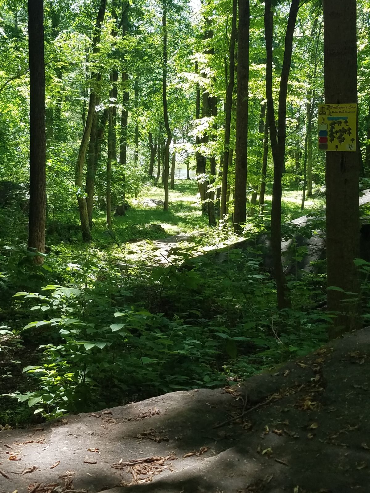 Hole 12 fairway. You tee off the large, elevated flat rock.
