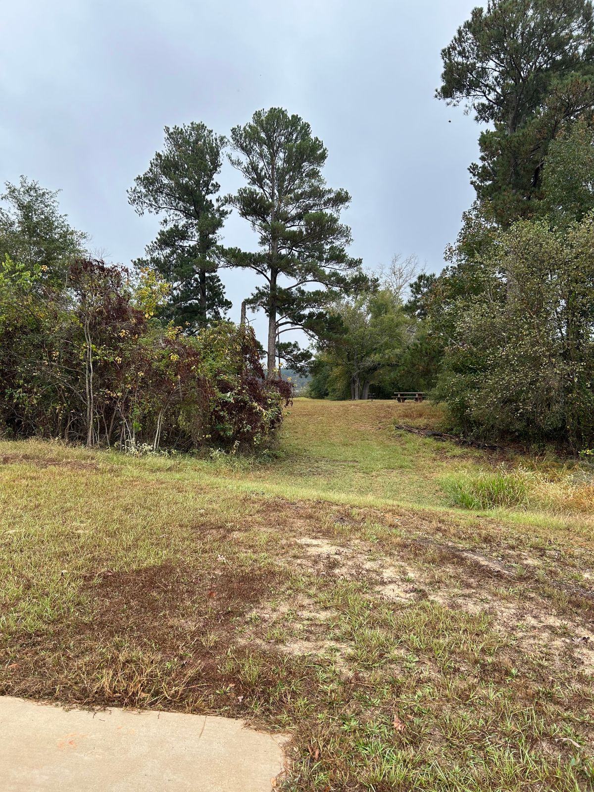 Hole 9 tee shot