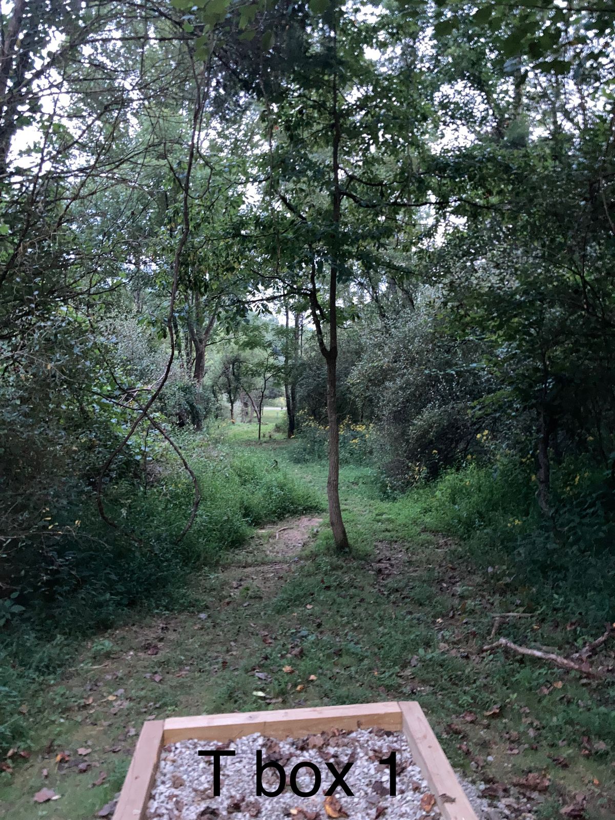 Hole 17