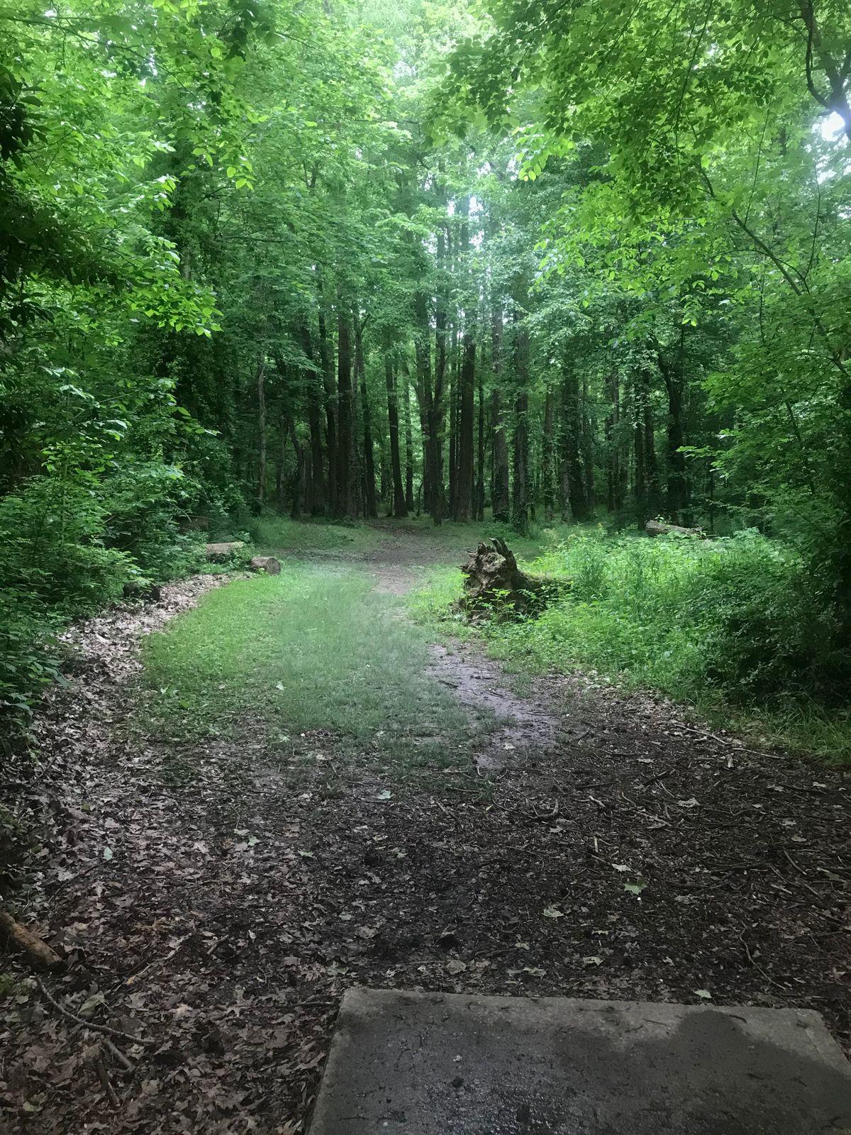 Hole 16