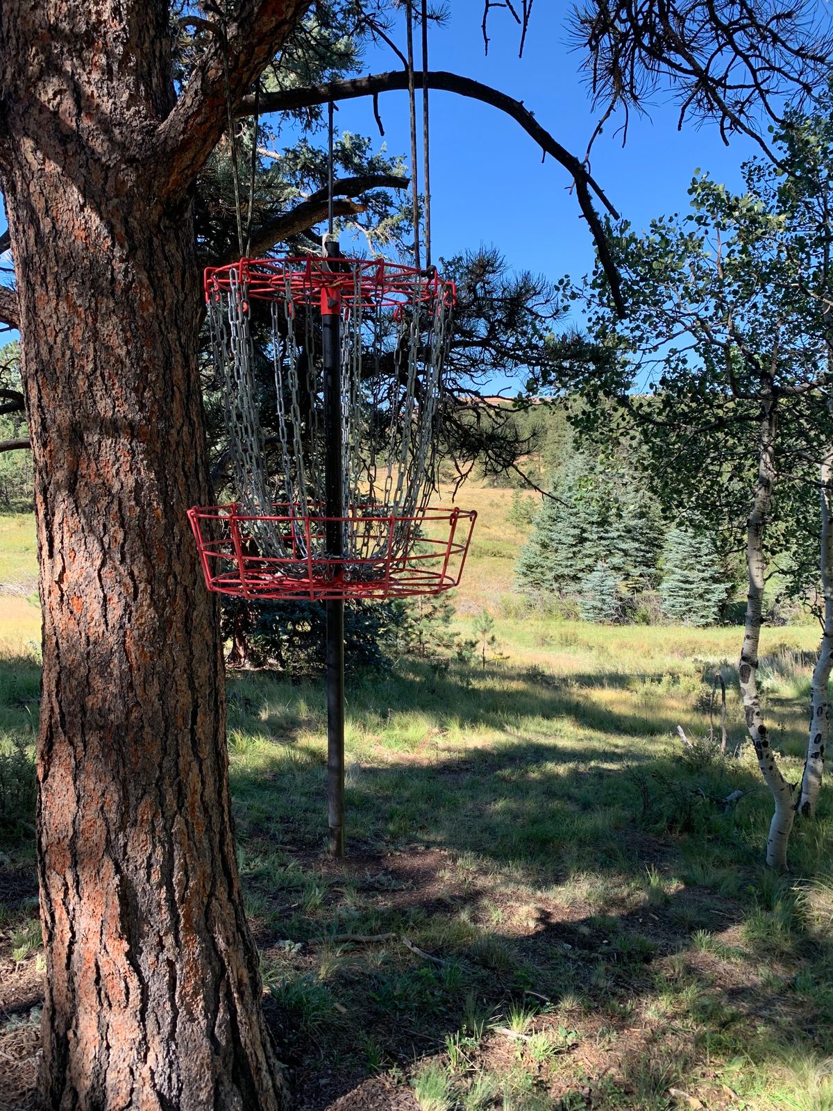 Basket #5 hangman’s hole.