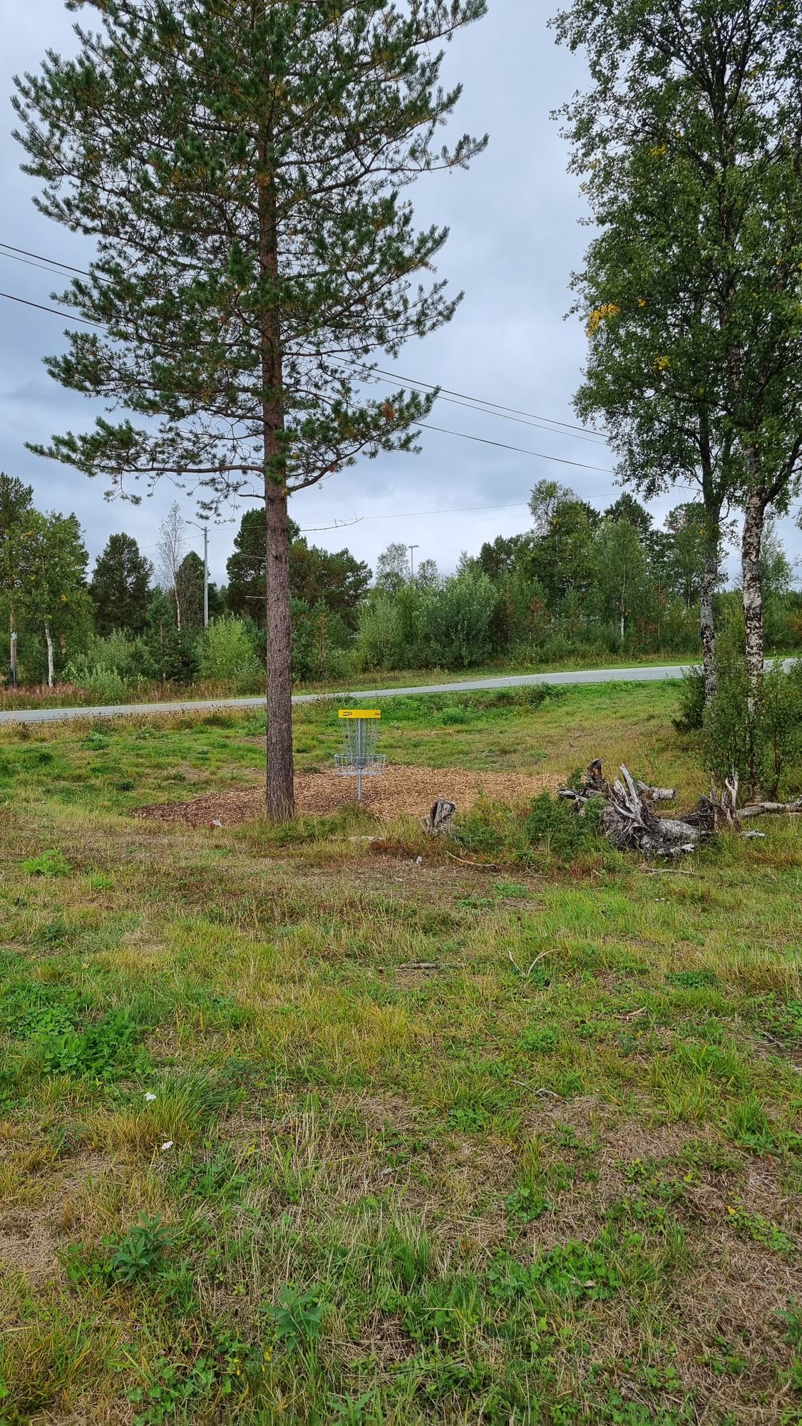 Hole 11