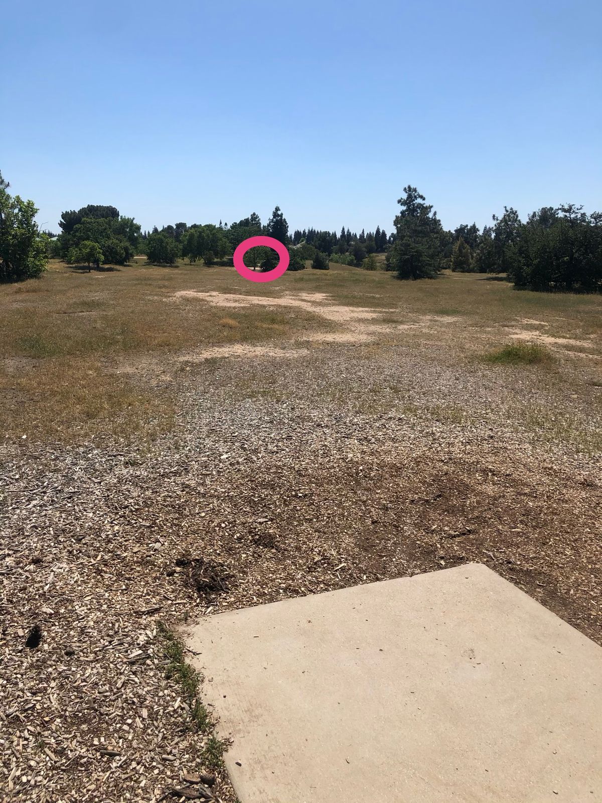 Hole 10 tee to basket