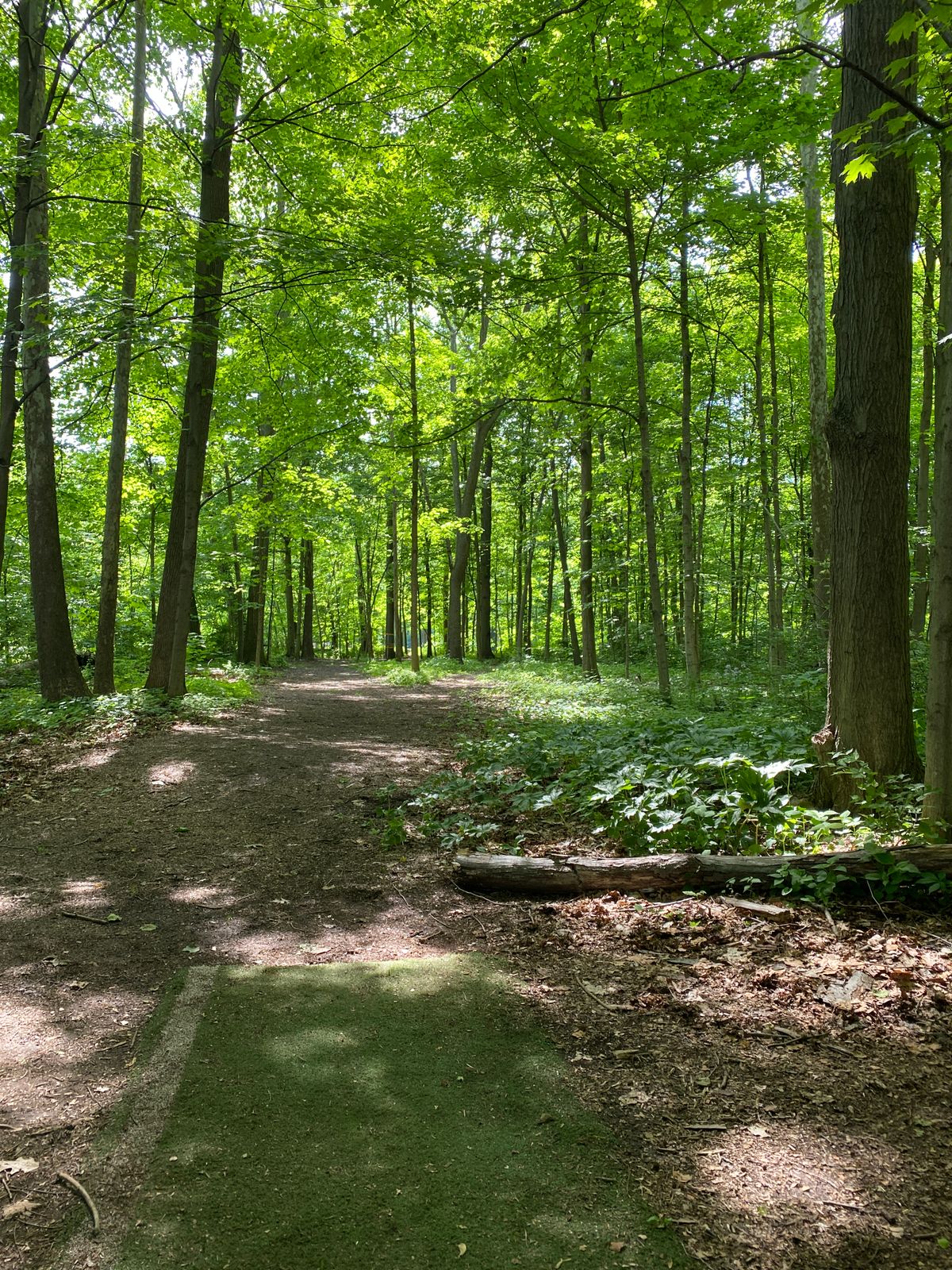 Hole 9