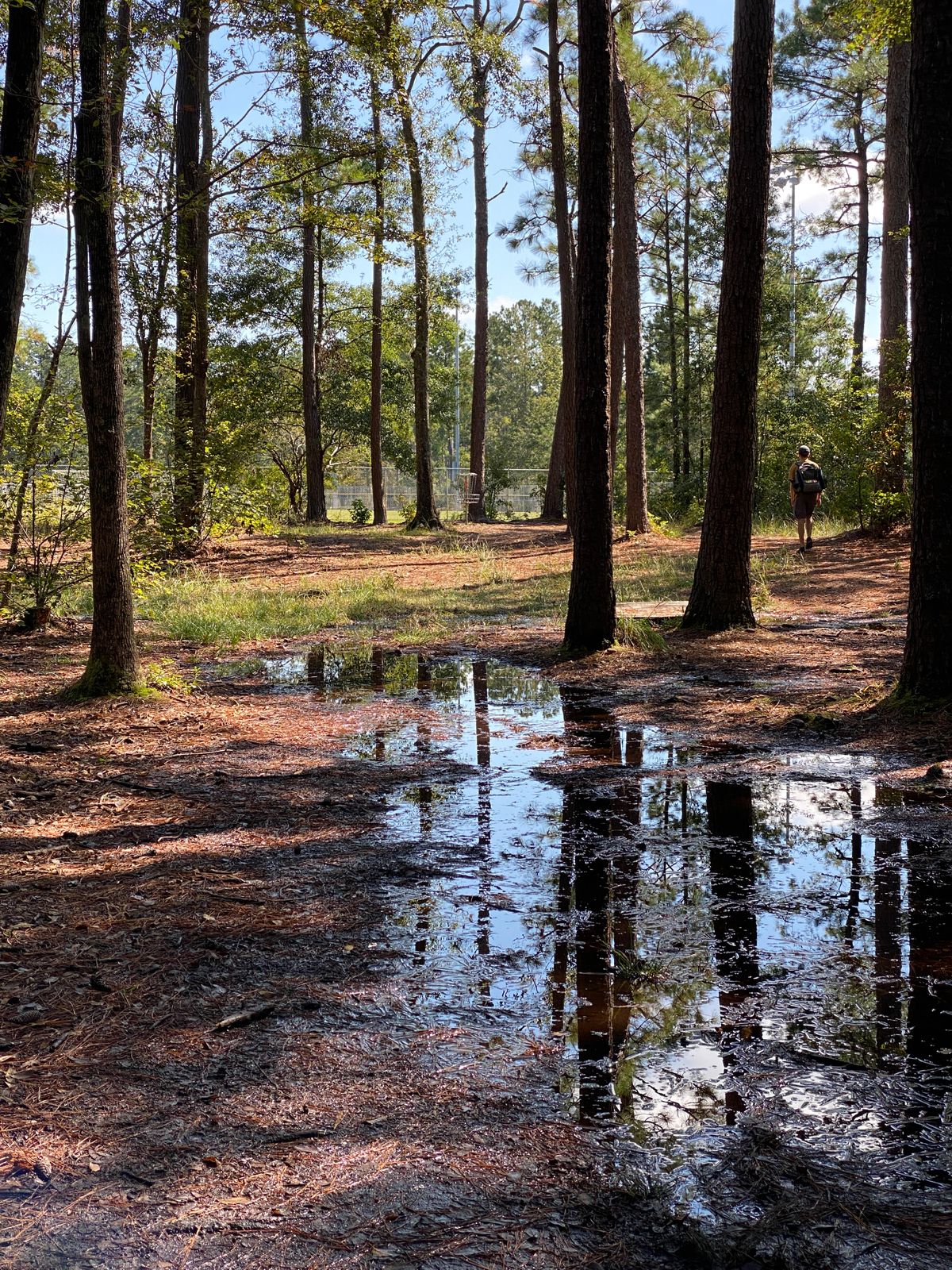 Swampy today