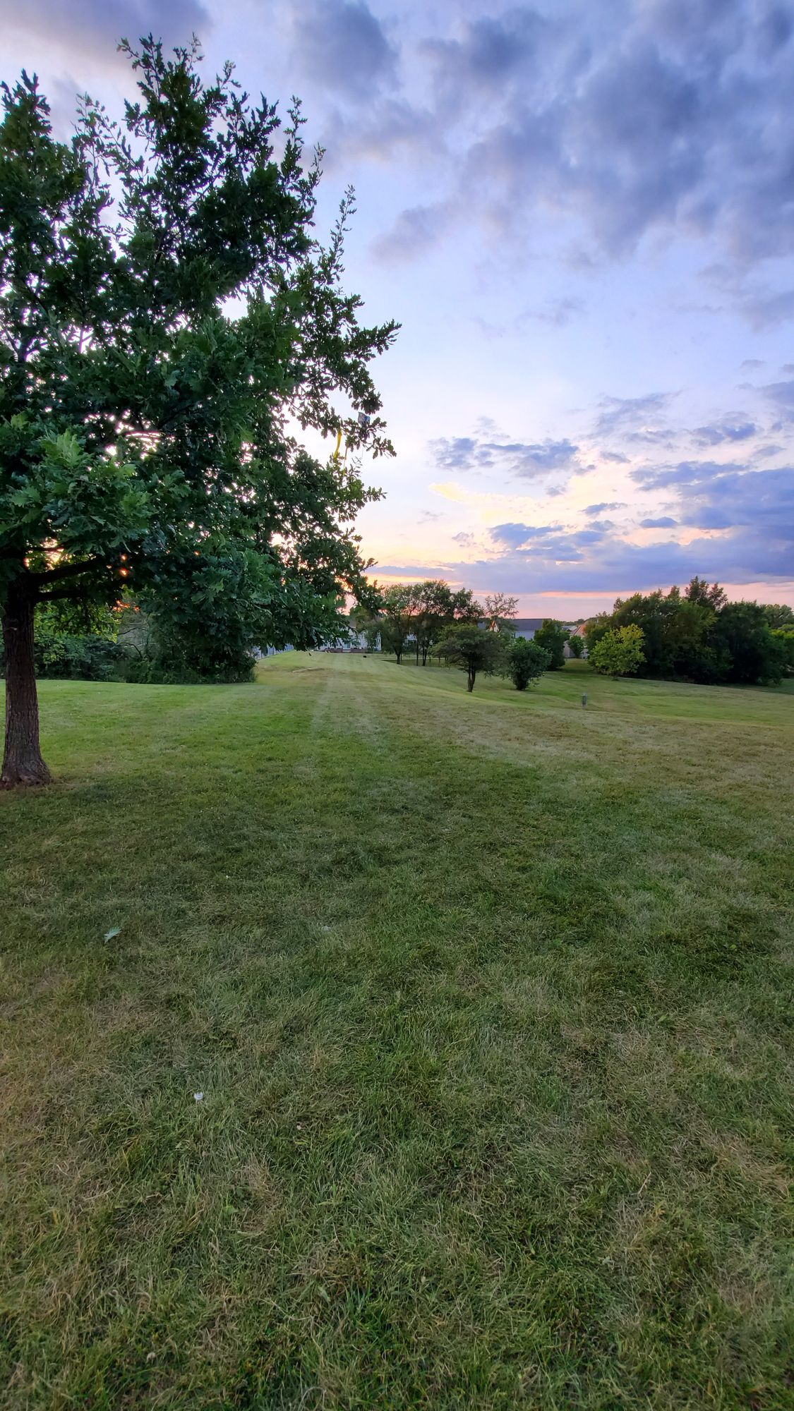 Alt 7 Tee
Even with and just to the right of the tree pictured on the left.