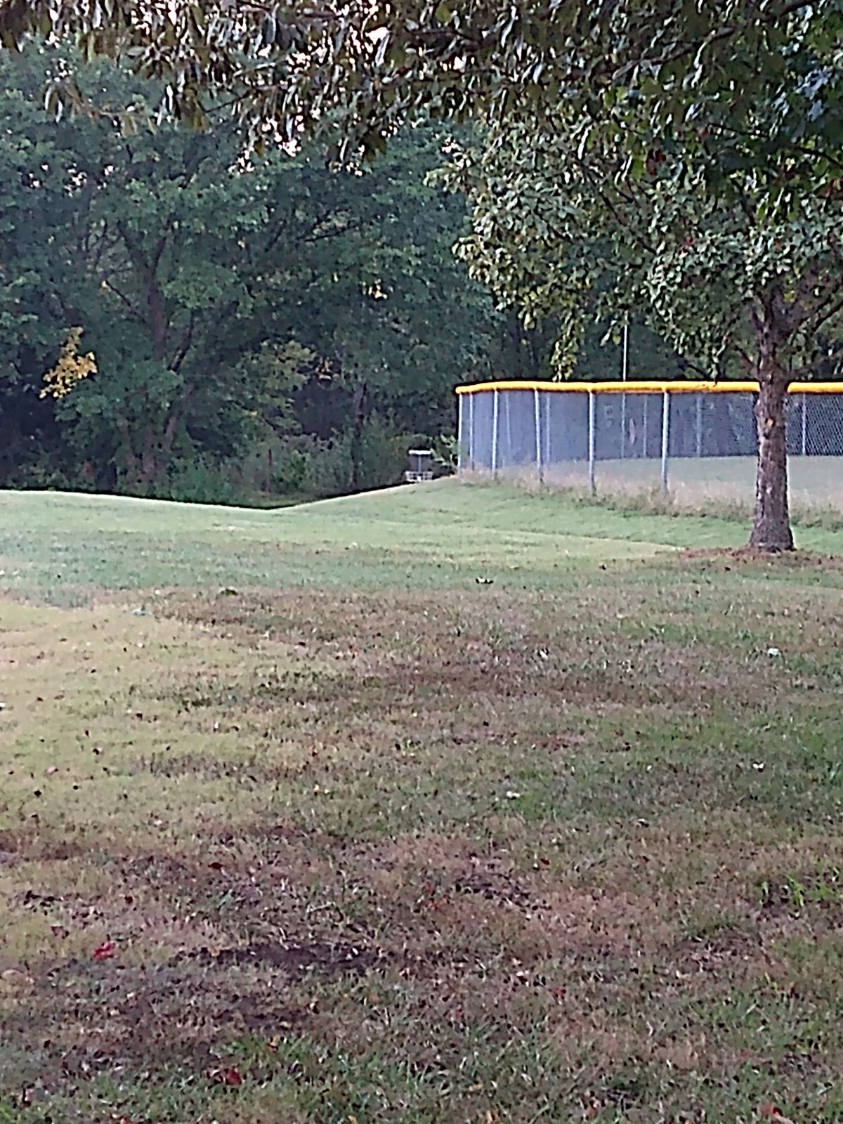 Basket is to the right of the trees and left of the TeeBall outfield.