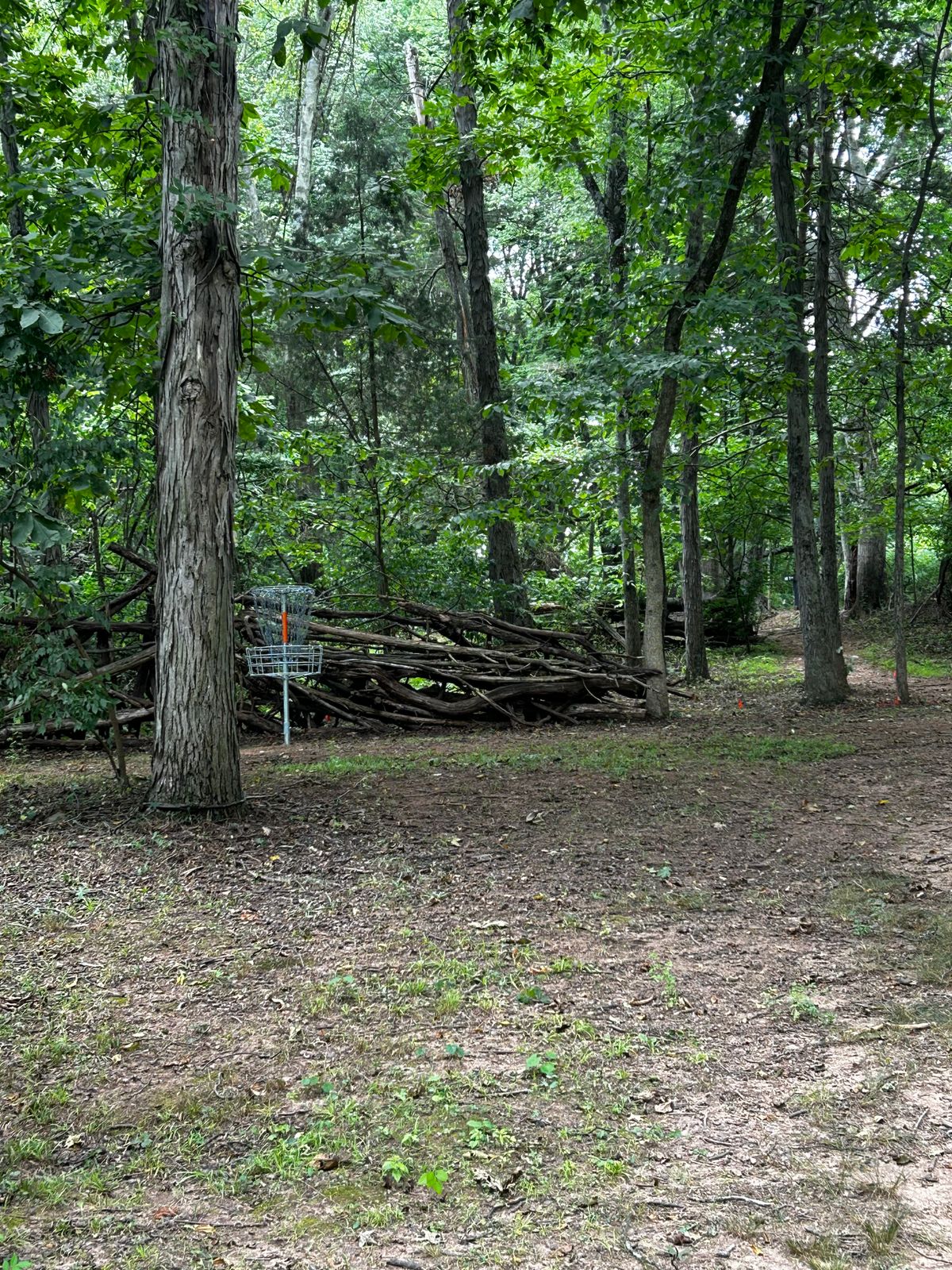 Hole 4 OB long of wall