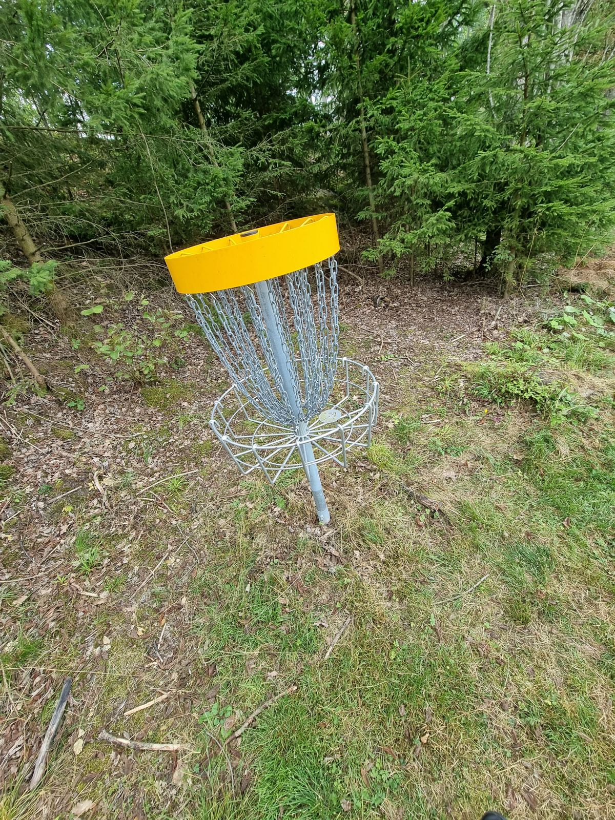 Utseendet av korgarna