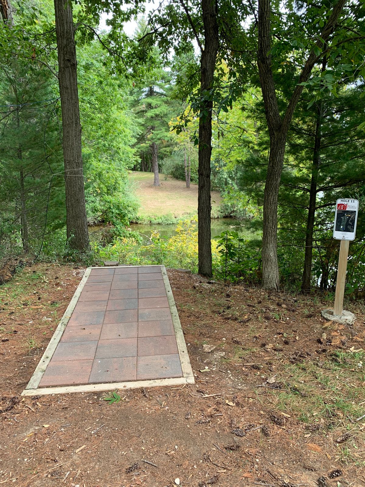 Hole 11 Tee Shot