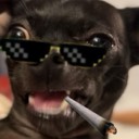 User avatar image