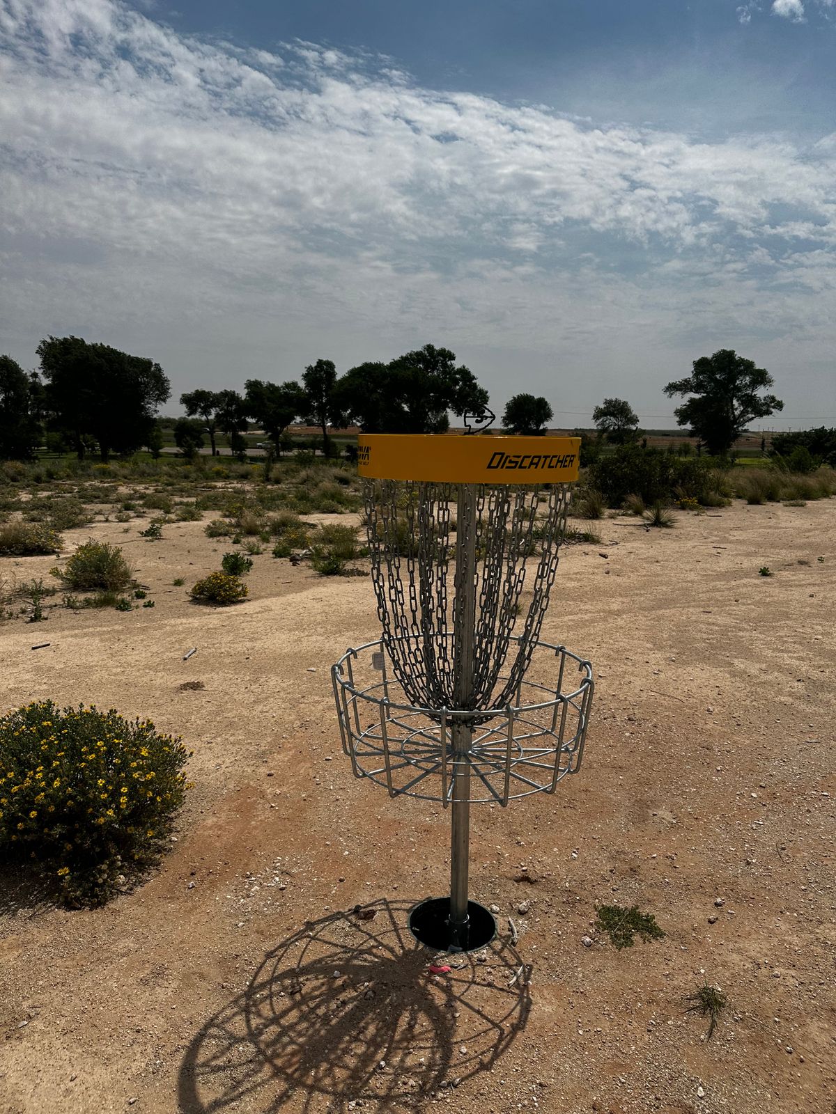 Hole 5 | Basket to Tee