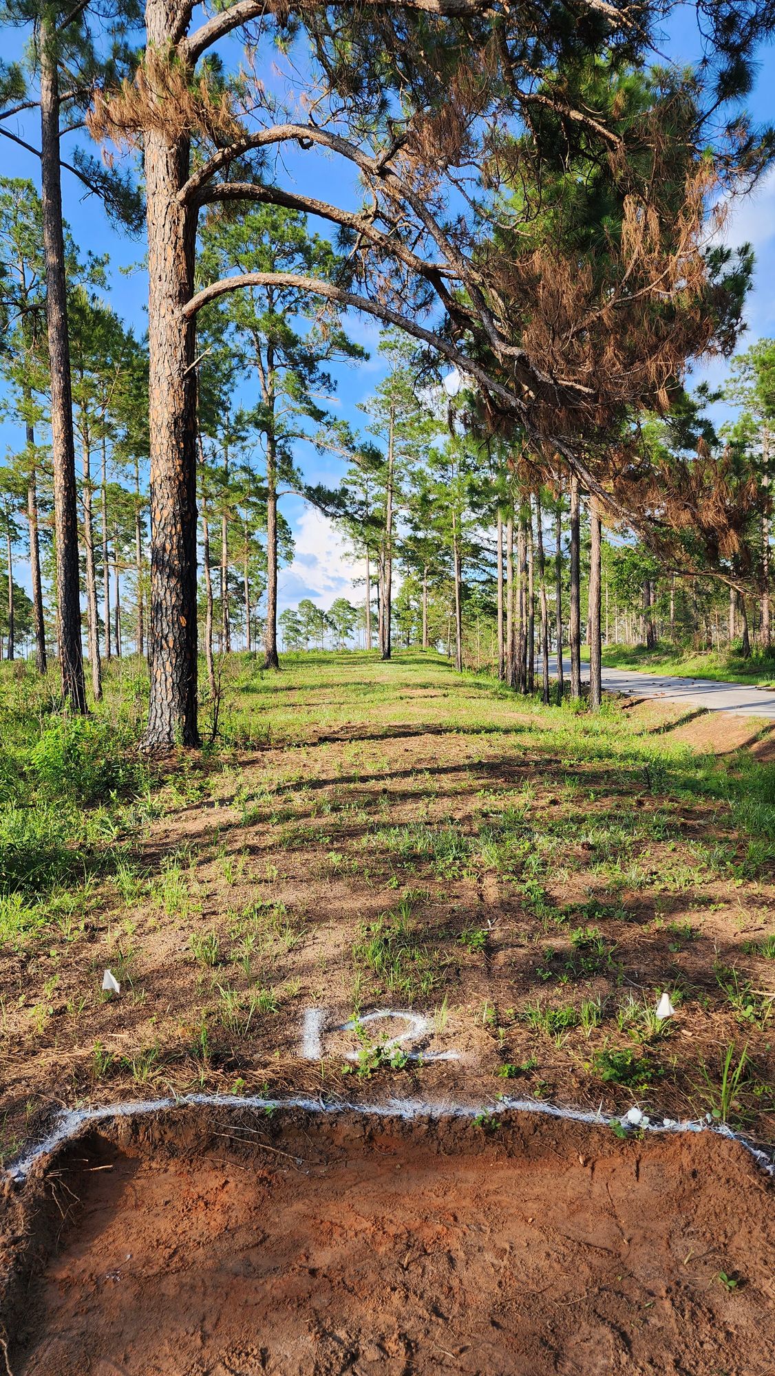 Hole 12 290'