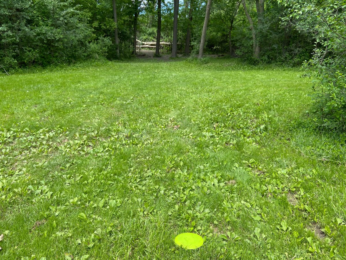 Hole 9, view from corner of dogleg