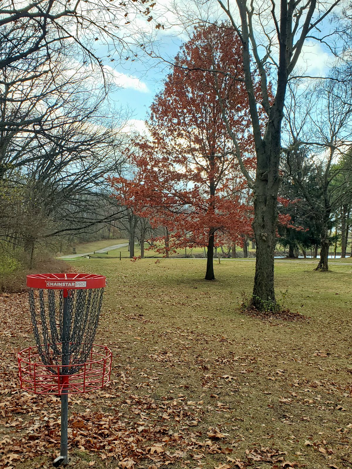 Hole 11
