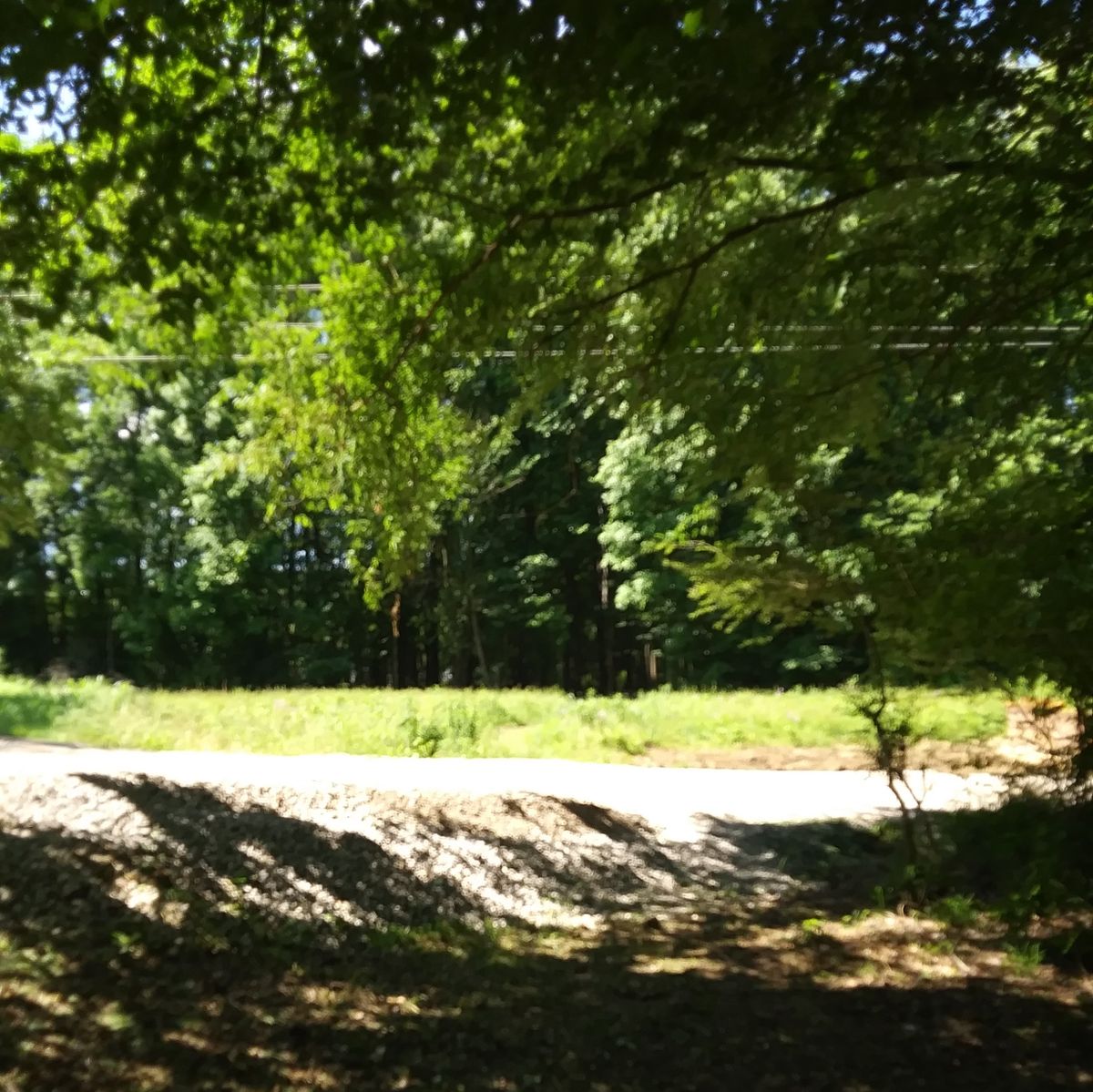 Hole 3's  Tee pad. Must throw across the clearing through a tight opening and go straight into the woods.