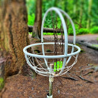 Basket on hole 13.