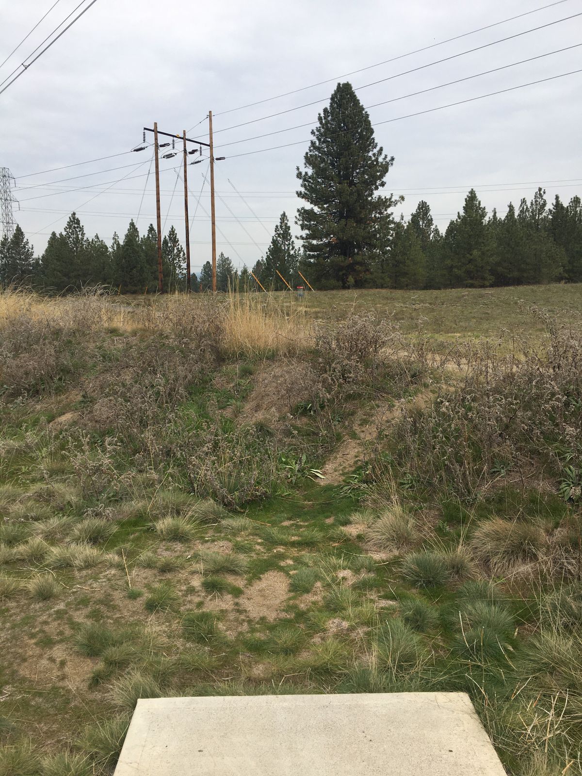 View from hole 3 tee box