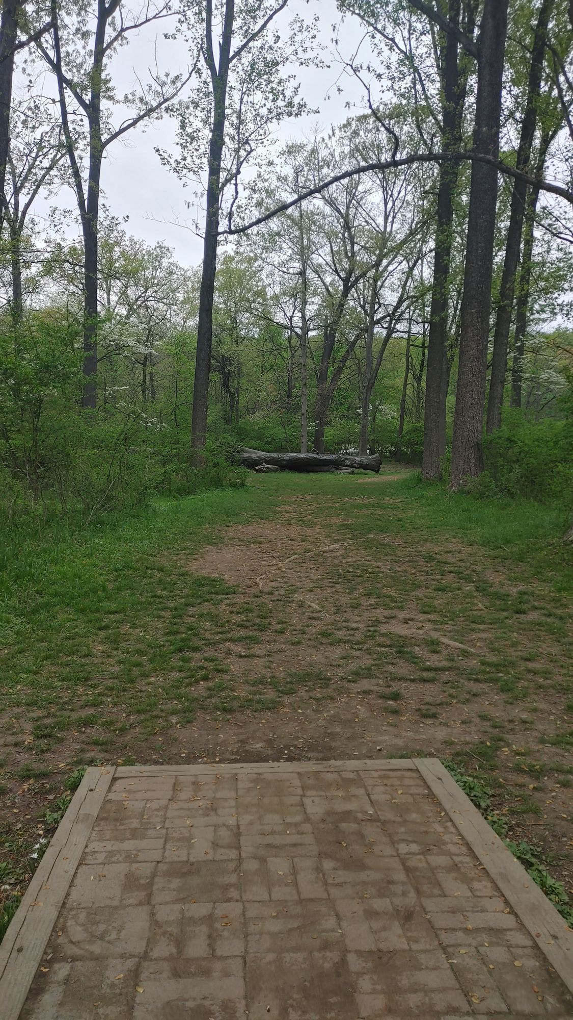 Hole 1