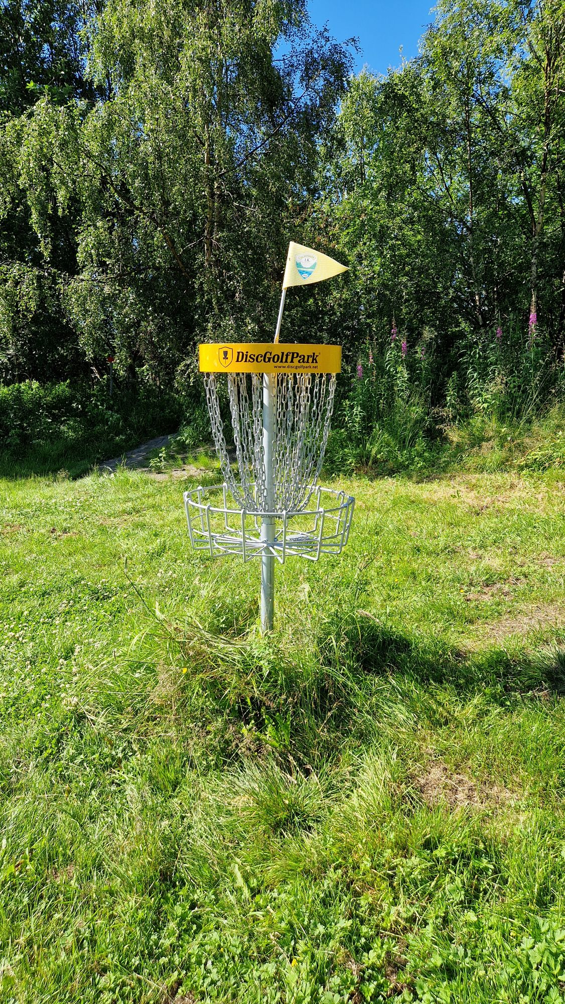 Cesta