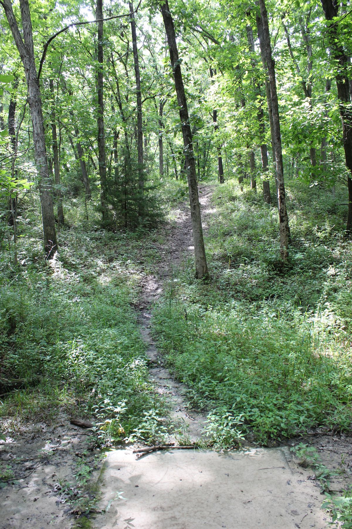 Hole 13 (Tee)