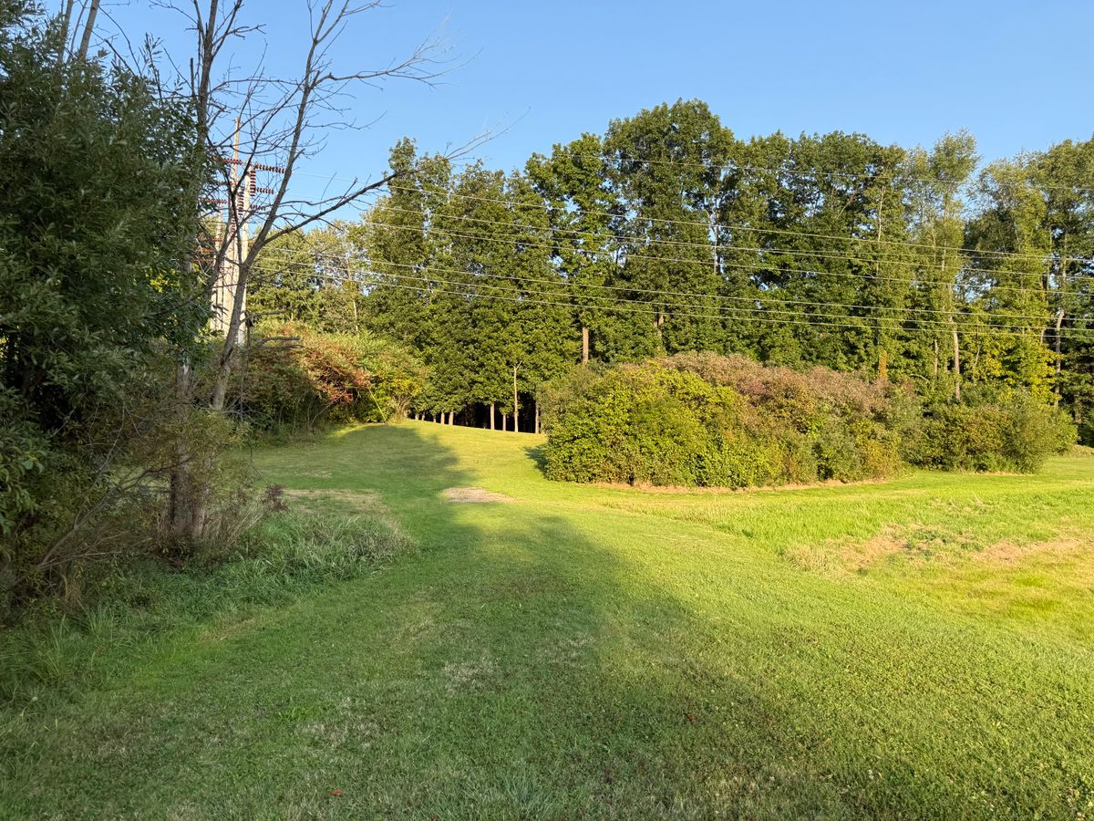 Hole 3 Fairway