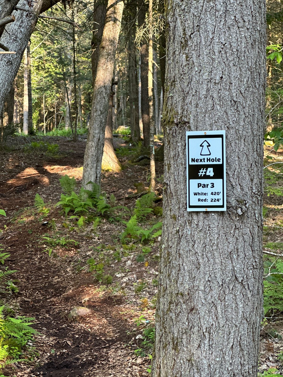 Path Between 3 & 4