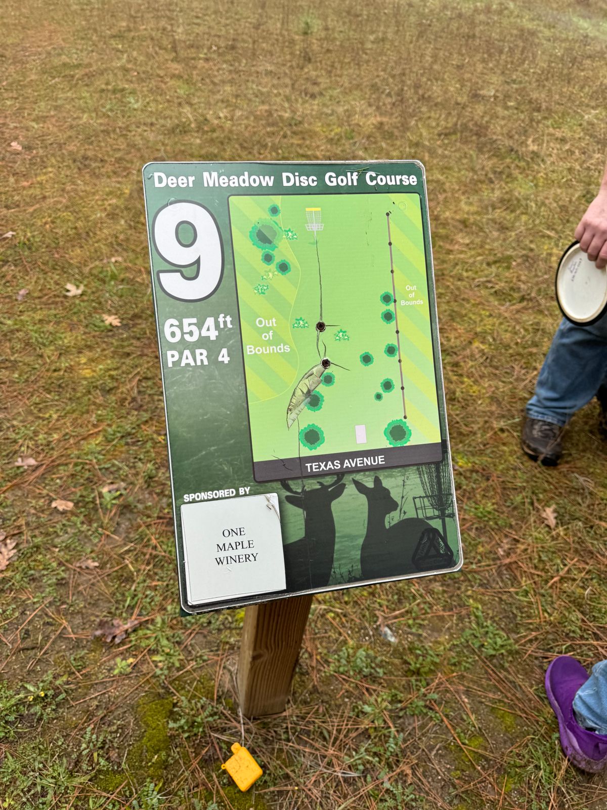 Hole 9 Map