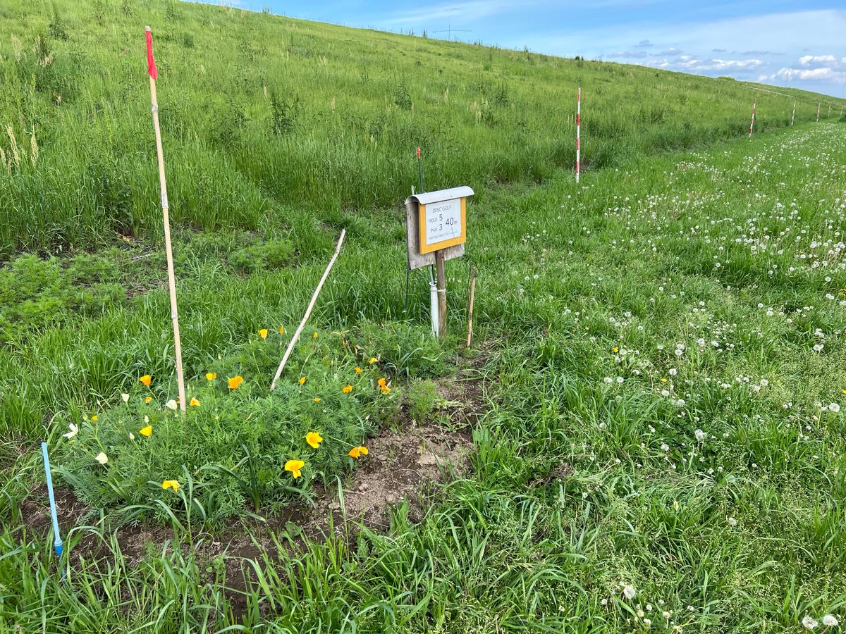 Well-signed, maintained, and pretty tee areas. No tee pads.