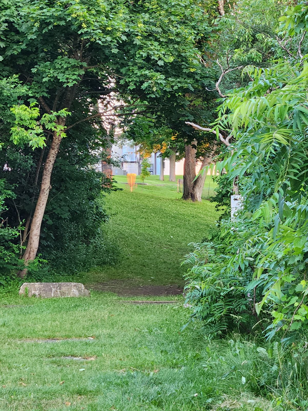 Hole 16, blue tee