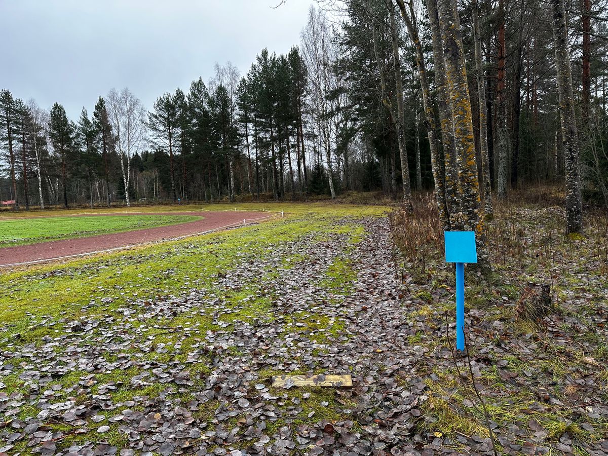 Tee5